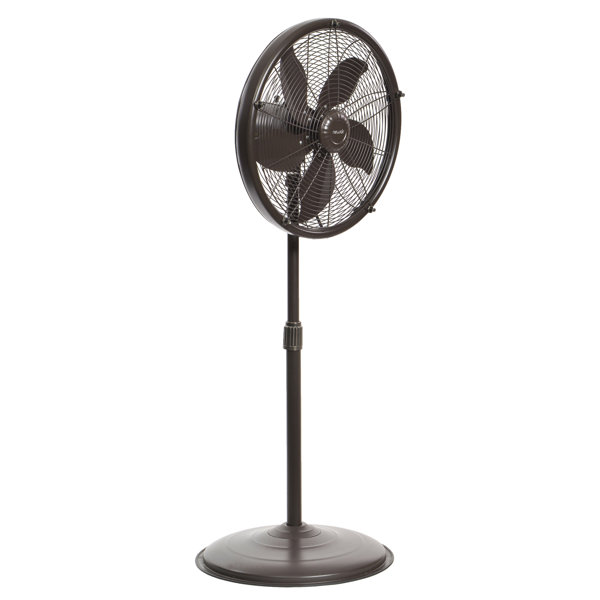 NewAir 55.9" Oscillating Standing Fan & Reviews Wayfair